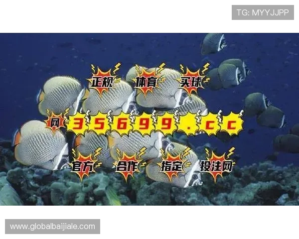 BG视讯官网平台支持多种支付方式，确保玩家资金安全与便捷体验